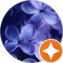 Jane Im profile picture